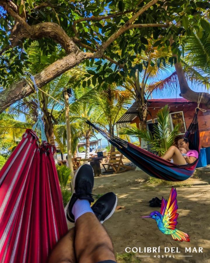 Colibrí Del Mar *