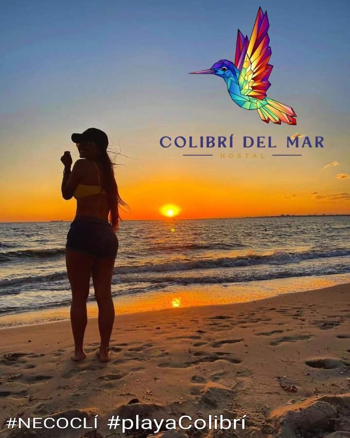 Colibrí Del Mar